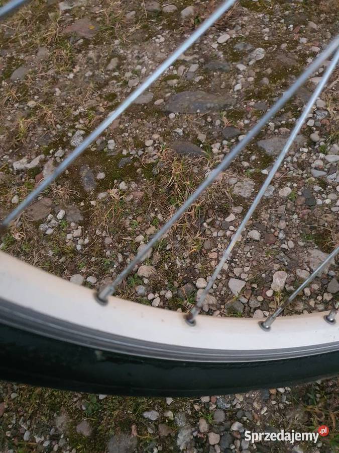 Rower miejski Folta sedona swan 2 Waplewo Wielkie
