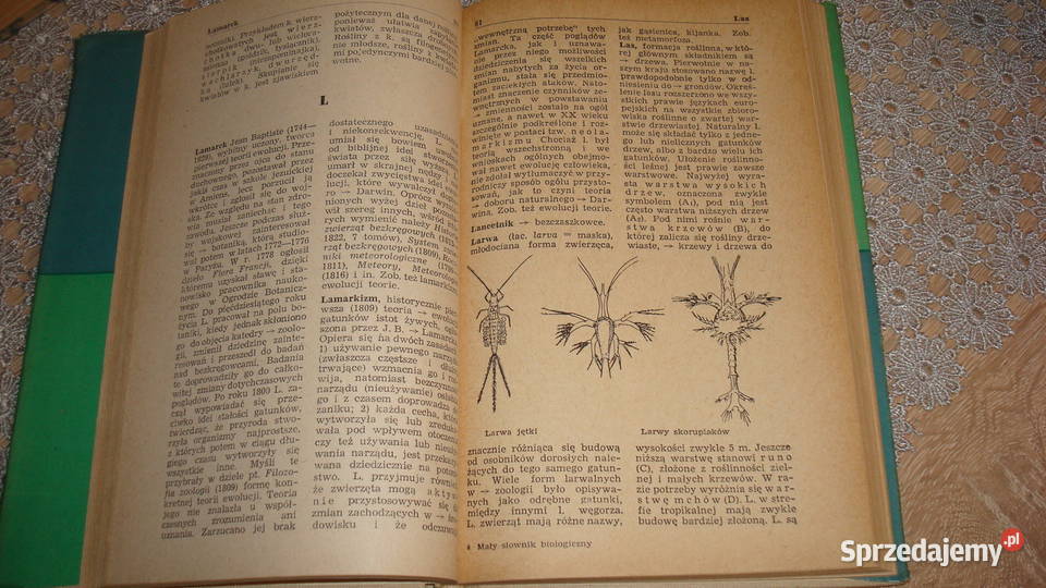 Mały słownik biologiczny js encyklopedie, słowniki, leksykony Kruszwica