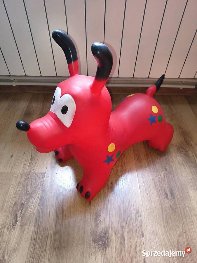 Piesek skoczek opolskie Strzelce Opolskie