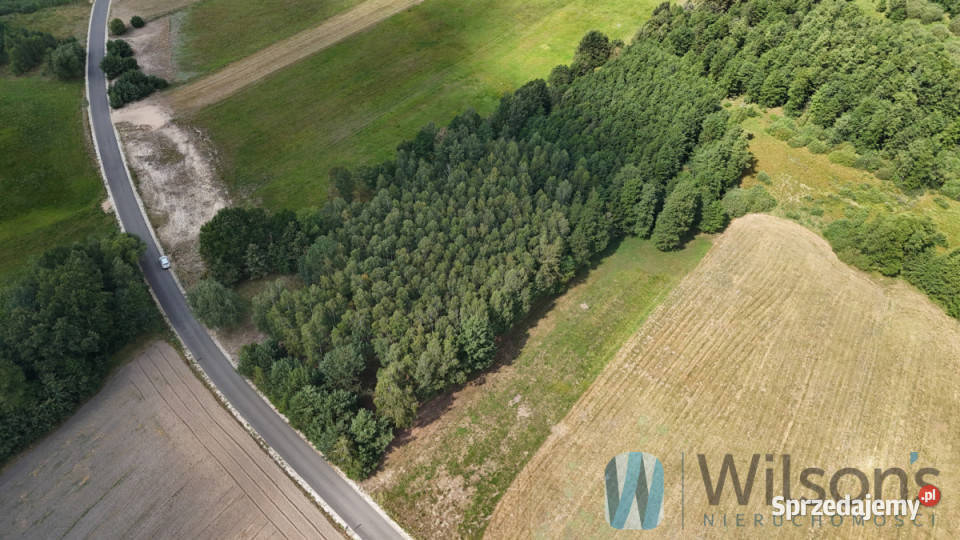 sprzedaży gruntu Sokołowo Włościańskie 7100m2 55m Sprzedaż sprzedam