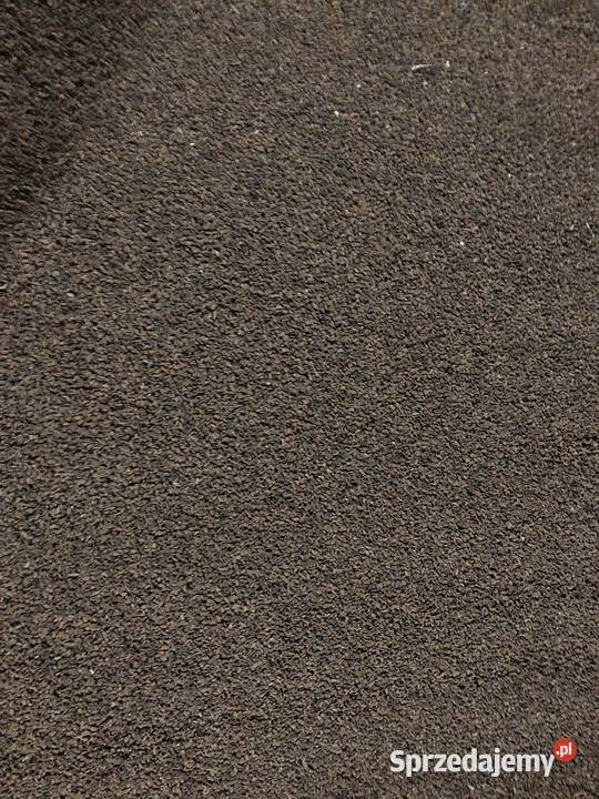 Facelia Stala Rudniki