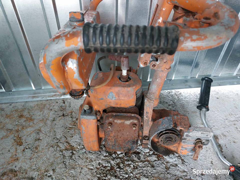 pilarka tajga ruska Nowy Sącz sprzedam