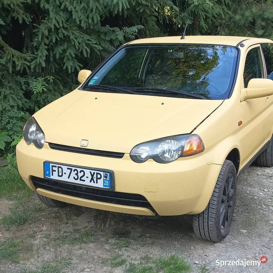 Lakierowanie RAPTOR Cobra Predator Rrangers Off