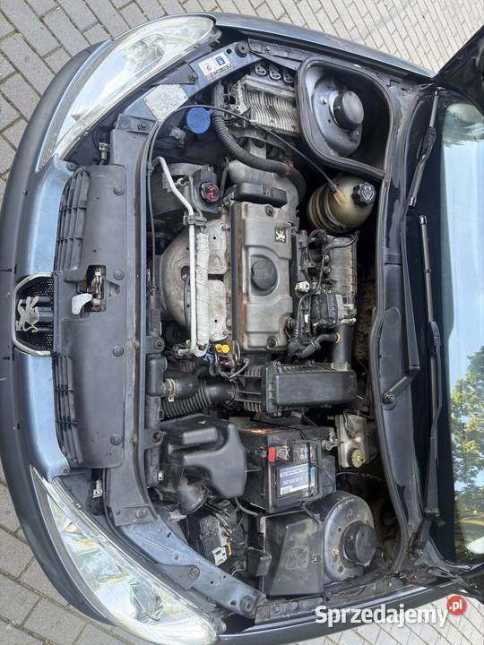 Peugeot 206 Peugeot Oborniki Śląskie