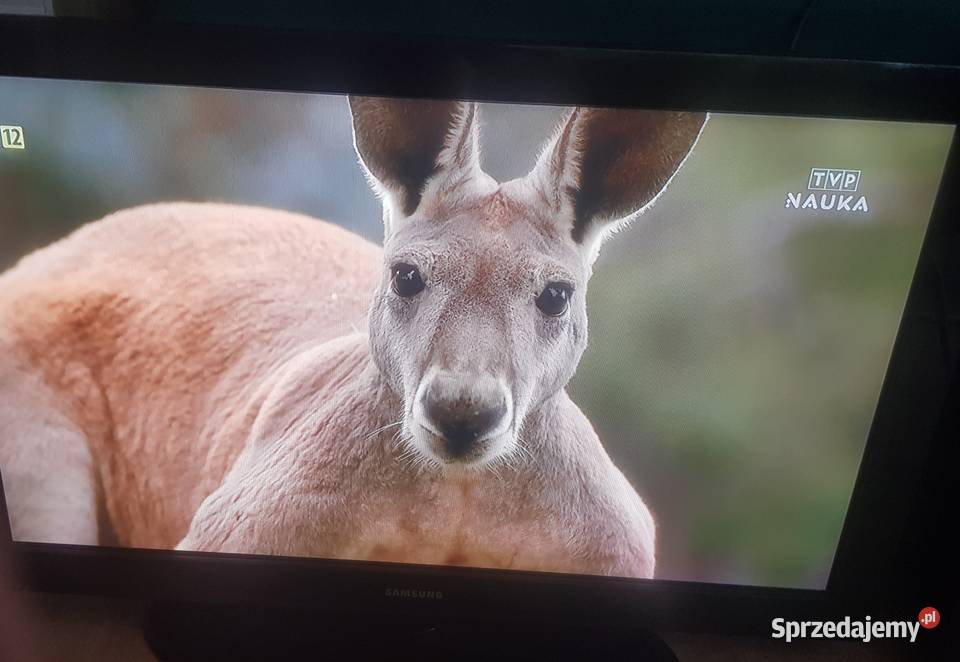 Telewizor Samsung 42 cale Będzin
