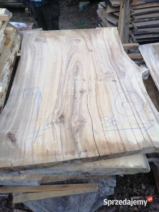 Monolit 120x80 wiąz dąb jesion klon topola mazowieckie Przysucha