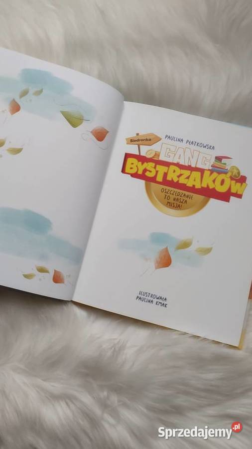 Książka Gang Bystrzaków Oszczędzanie to nasza małopolskie Olkusz