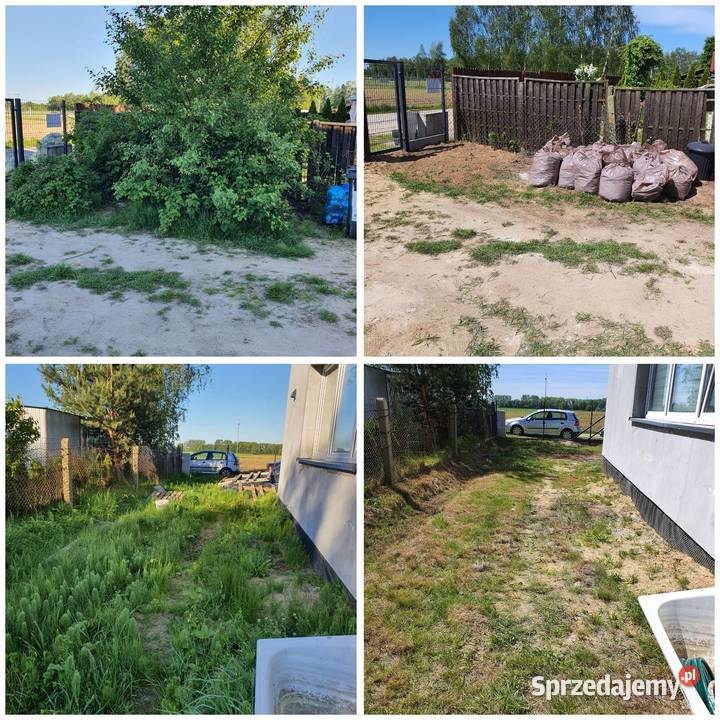 Sprzątanie działek ogrodów strychów piwnic itp Usługi Gdańsk