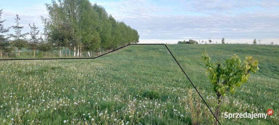 Grunt rolny Augustów sprzedam