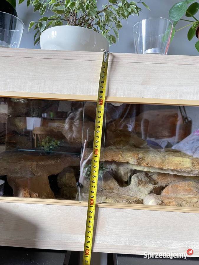 Drewniane terrarium wężajaszczurki Łobzów