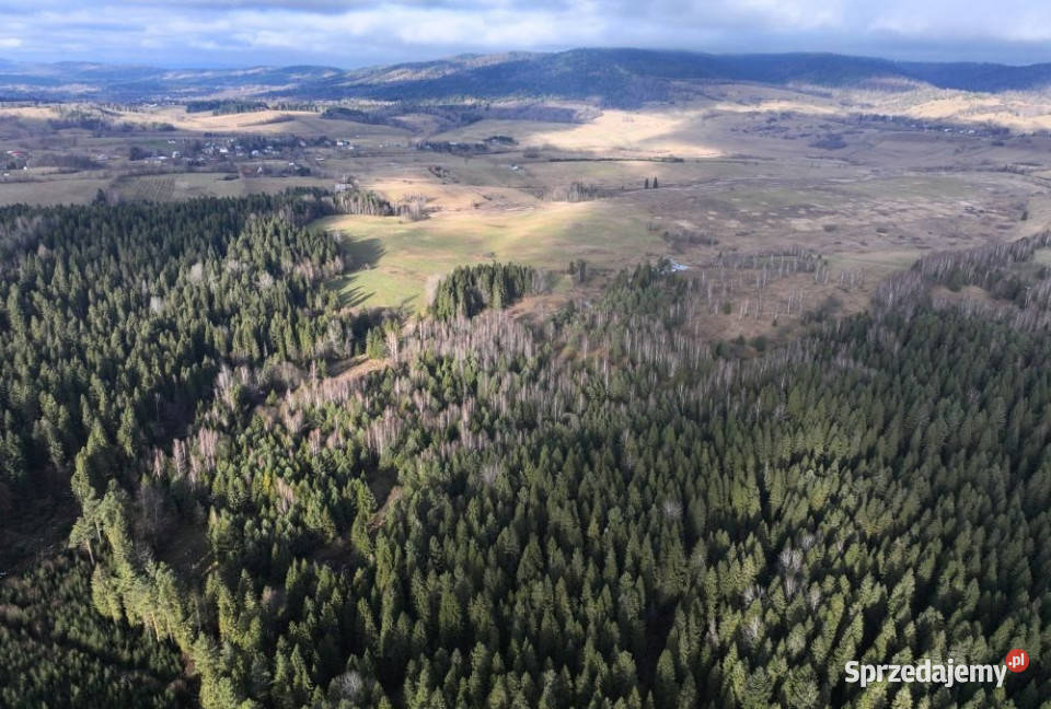 Działka Czarna 11400m2 podkarpackie