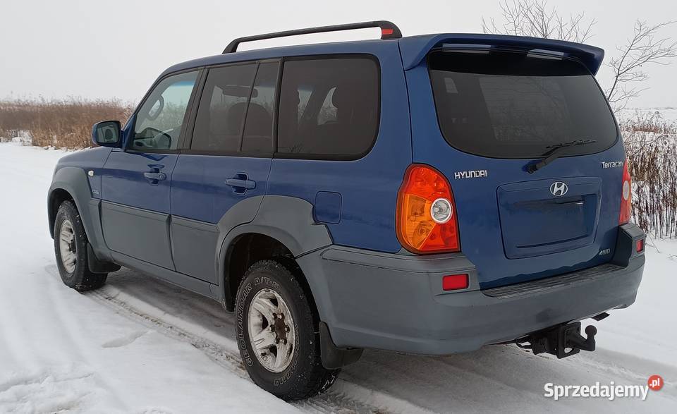 Hyundai Terrcan 29 CRDI hak 245000km