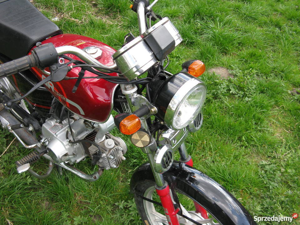 Zumico gr 200 opłacony Busko-Zdrój