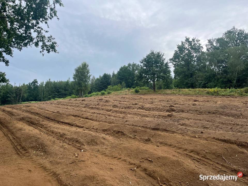 Mulczowanie wgłębne i powierzchniowe Wadowice prace ogrodowe