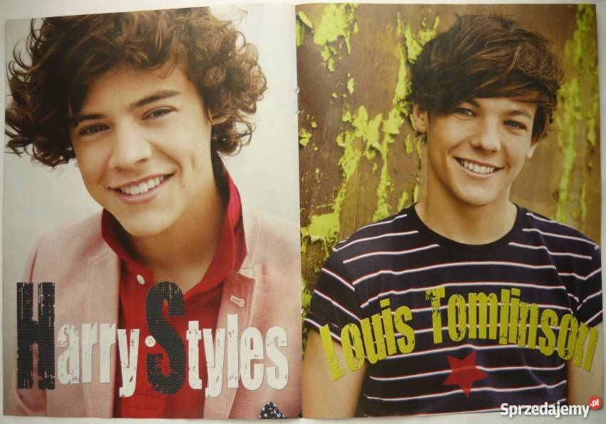 PLAKAT ZAYN MALIK NIALL HORAN LIAM PAYNEHARRY Bydgoszcz