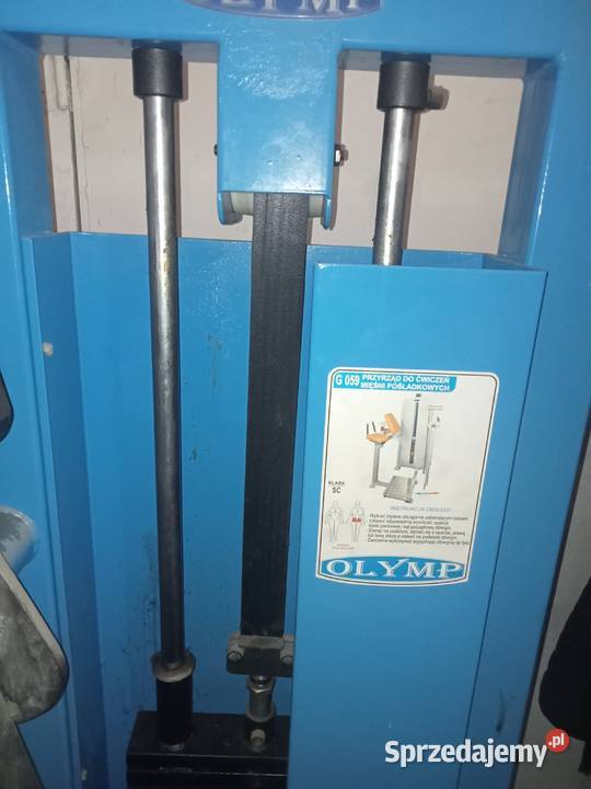 Maszyna REVERSE HYPER OLYMP AMBITNYCH siłownia Ząbkowice Śląskie