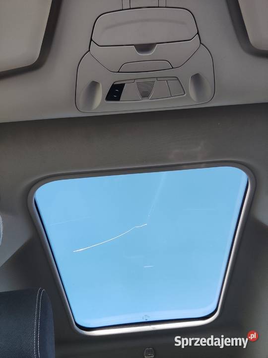 Grand Tourneo Connect Titanium Suchy Dąb