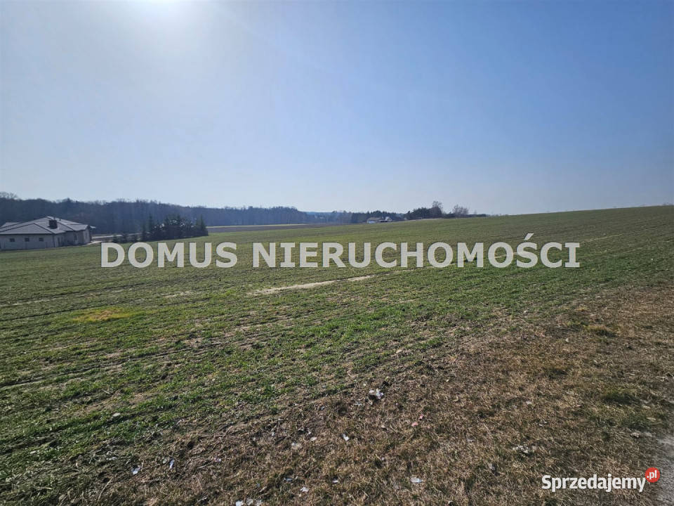 sprzedaży gruntu Tworzyjanki 3000m2 łódzkie