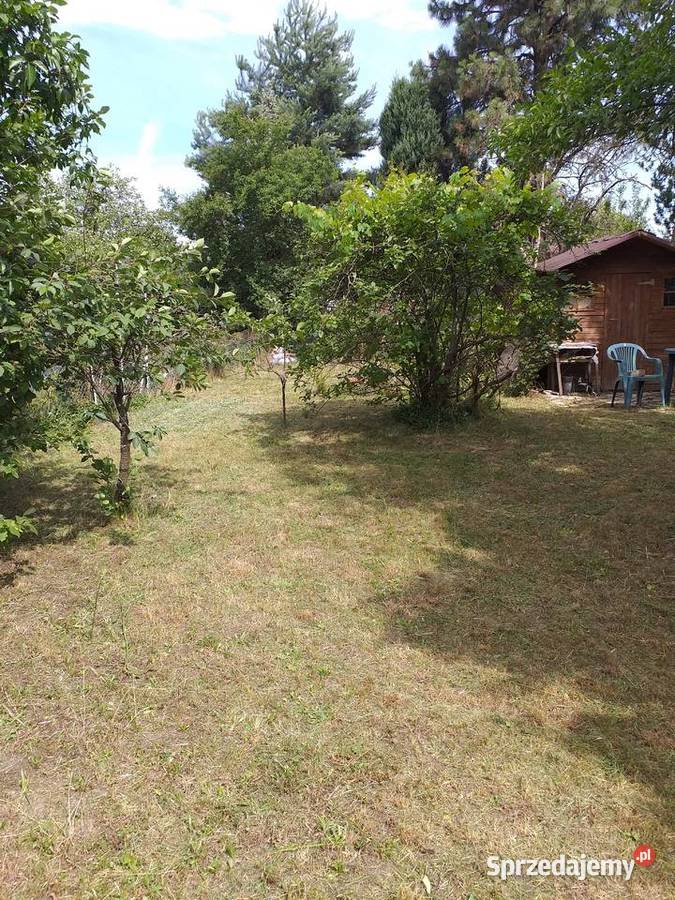 Ogródek ROD w Kamieńcu Wrocławskim 500m2 Kiełczów