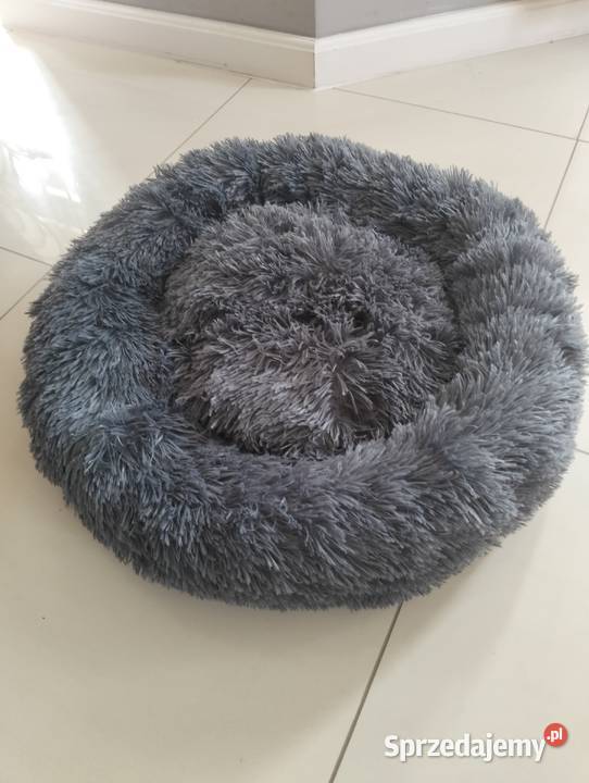 Legowisko psa kota włochate posłanie 1832 Grybów