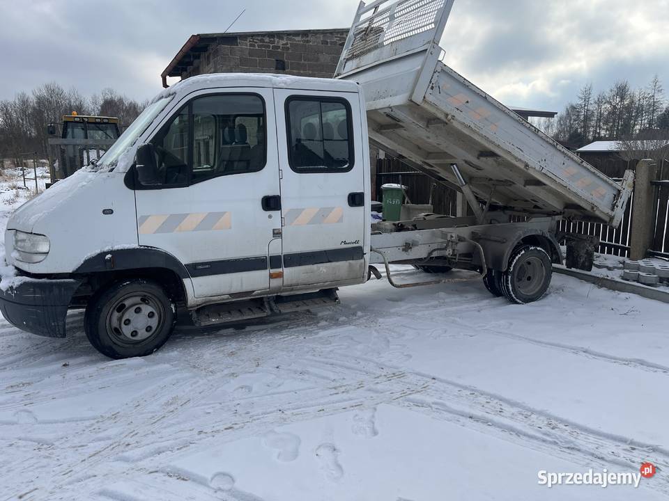 Reno mascott 2001 Częstochowa