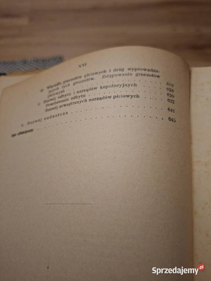 Rozwój zwierząt kregowych i człowieka antyk Antyki Nowa Sól