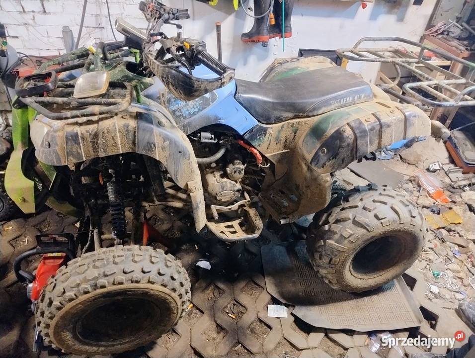 Bashan 250 łańcuch