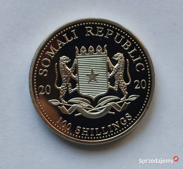 MONETA SOMALIA 100 SHILLINGS 2020 SŁOŃ Numizmatyka Pruszków