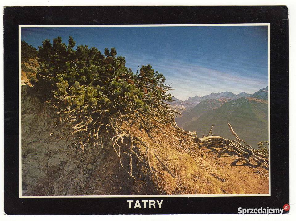 TATRY POCZTÓWKA WIDOKOWA 3 Krynki