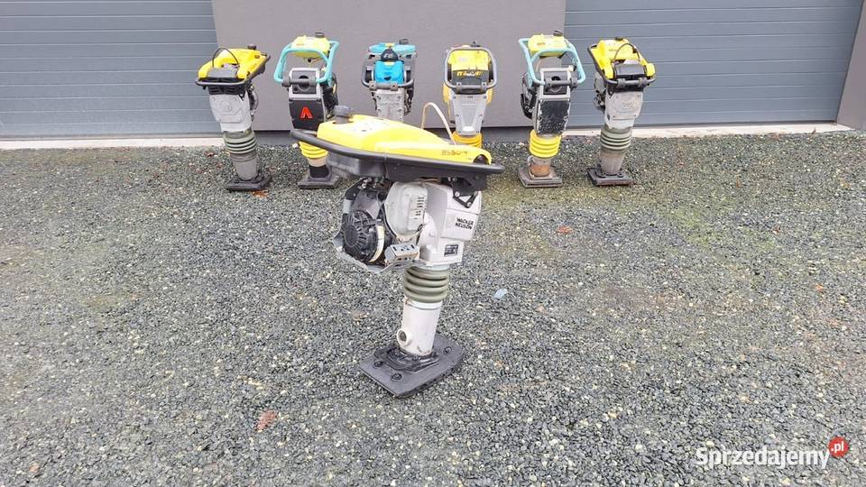 Skoczek Stopa WACKER NEUSON BS 504 500 18 Ammann dolnośląskie Trzebnica