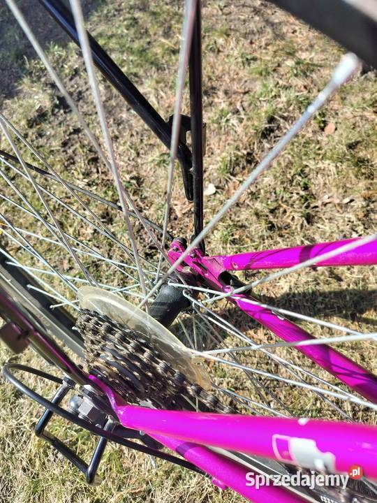 Rower Luna Lizard 26 Dopiewo