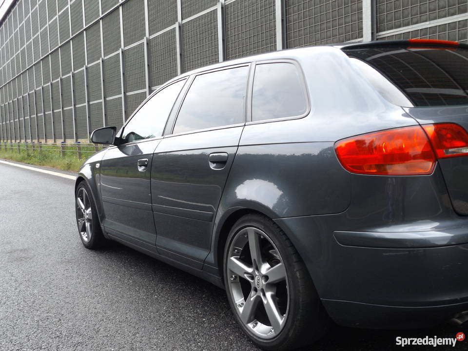 Audi A3 8P Sportback 2005 Oryginalny Lakier Sławków