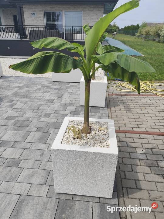 Thermo donica ogrodowa Nowoczesna Lekka małopolskie Jodłówka-Wałki sprzedam