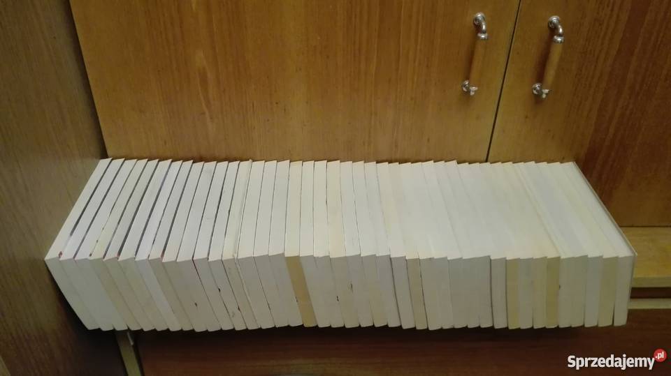 Laila Brenden Skandynawka Saga Hannah cała seria Warszawa