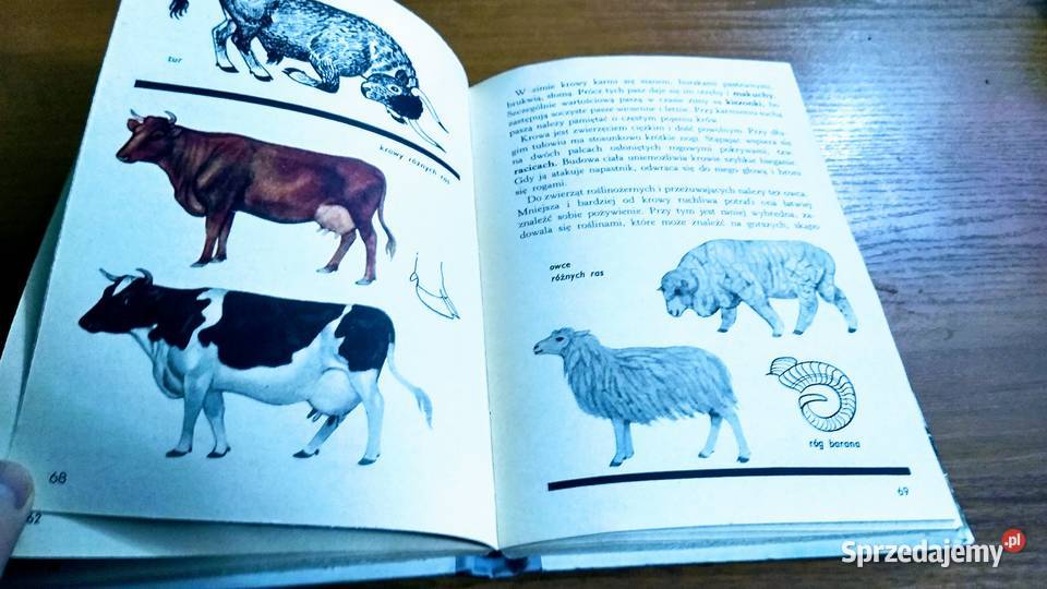 Świat wokół nas wiadomości o przyrodzie klasy Gdańsk