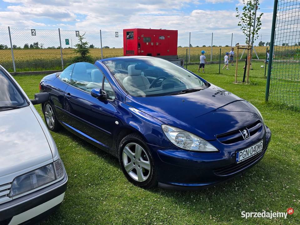 Peugeot 307 CC 20 136 LPG Cabrio Bogata wersja Rok produkcji 2004