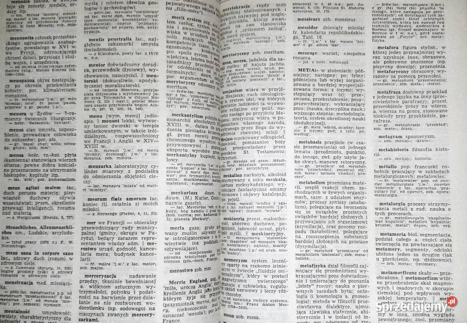 Słownik wyrazów obcych i zwrotów obcojęzycznych Chełm