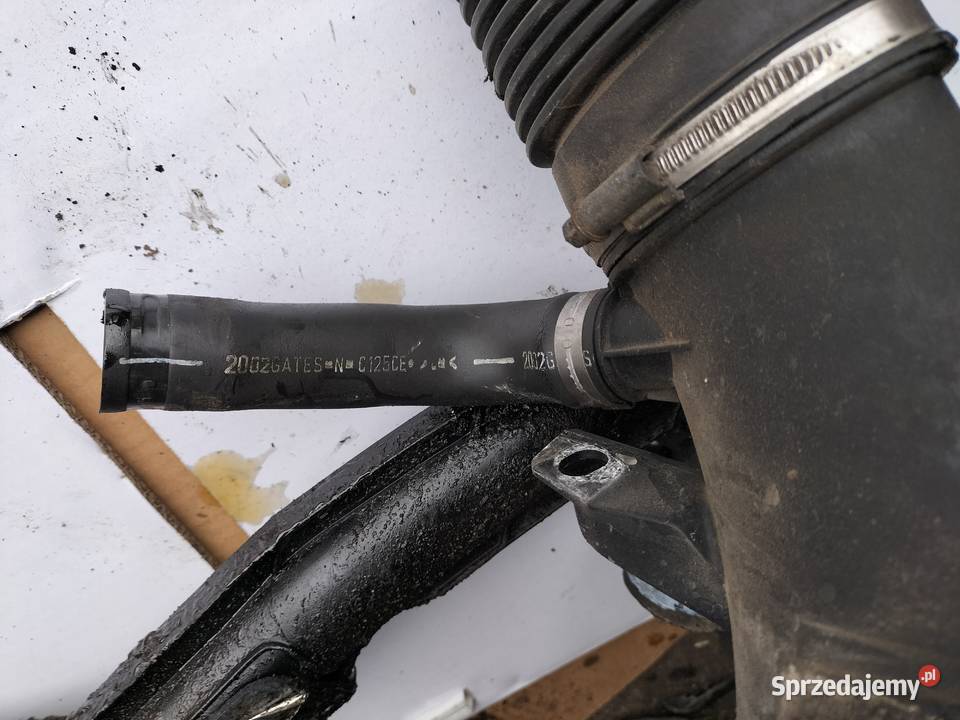 PRZEWÓD RURA INTERCOOLERA POWIETRZA Citroen Kamień-Kolonia sprzedam