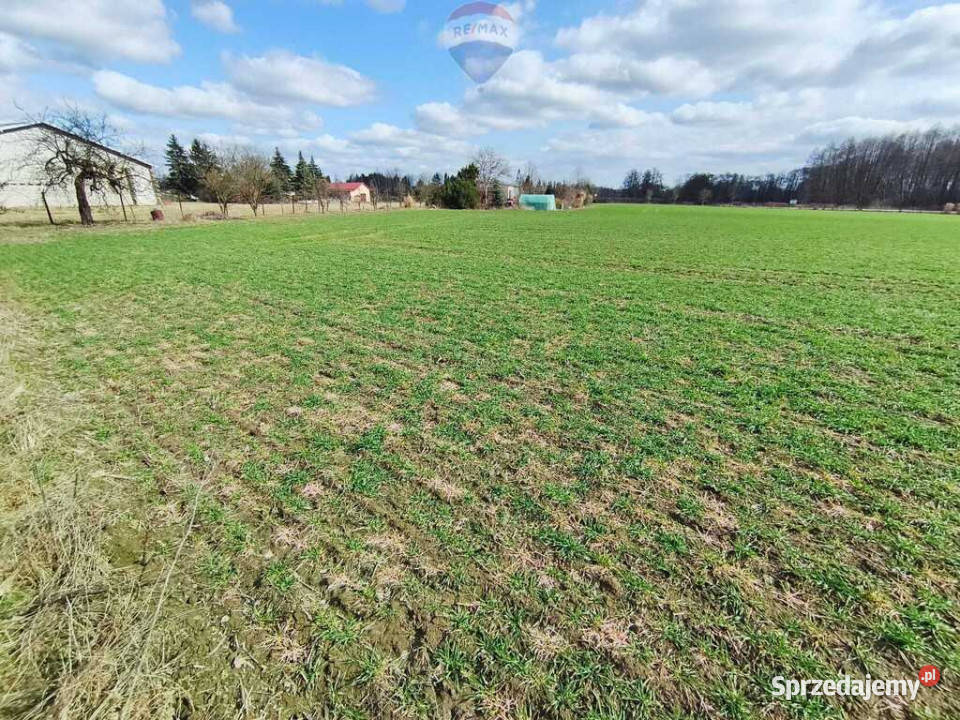 Działka budowlana w pobliżu Płocka 32m