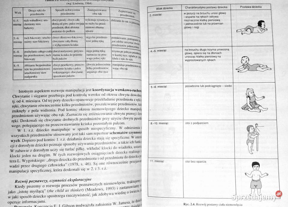 Psychologia rozwoju człowieka Tom 2 B Pozostałe