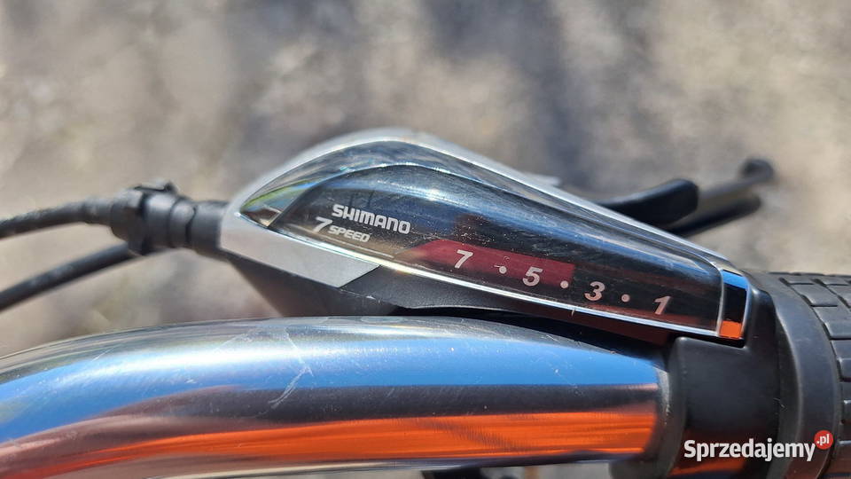 Rower Unibike Vision 28 wielkopolskie