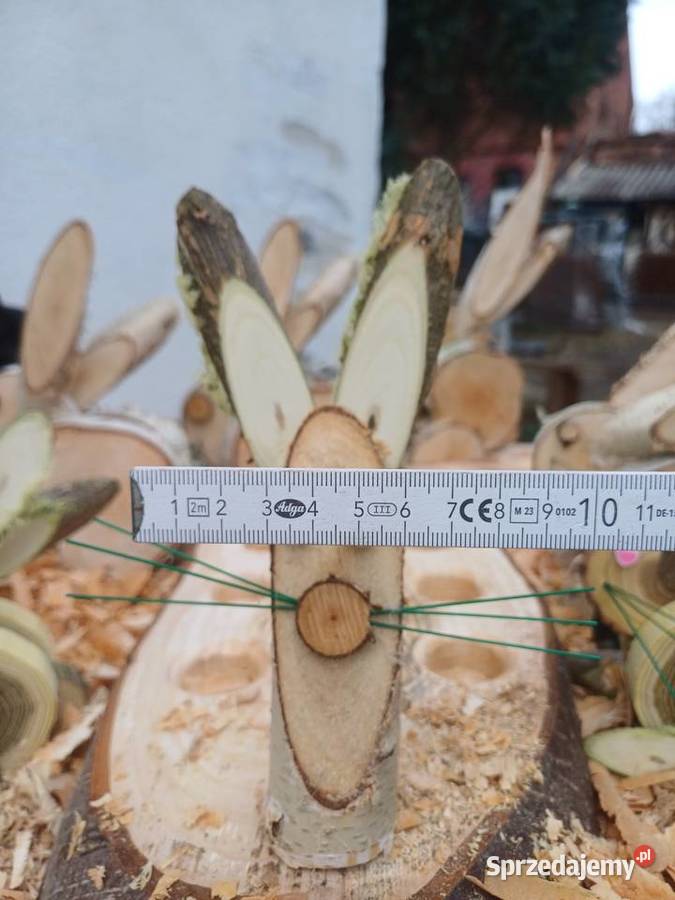 zajac wielkanocny lubuskie Żary sprzedam