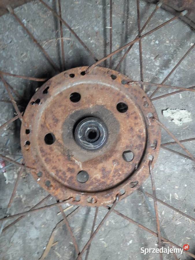 Wfm kolo tyl tylne 19 Czajków