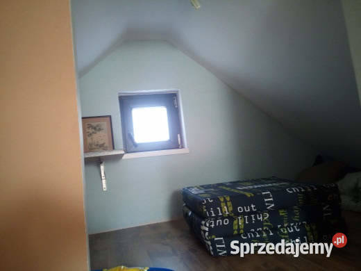 Sprzedam działkę ROD Bielany warmińsko-mazurskie Elbląg