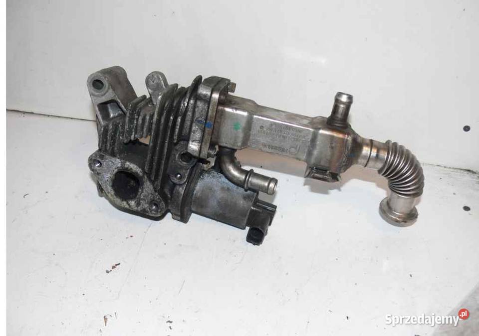 Renault EGR chłodnica spalin 8200360566 NUMER Wielkie Drogi sprzedam