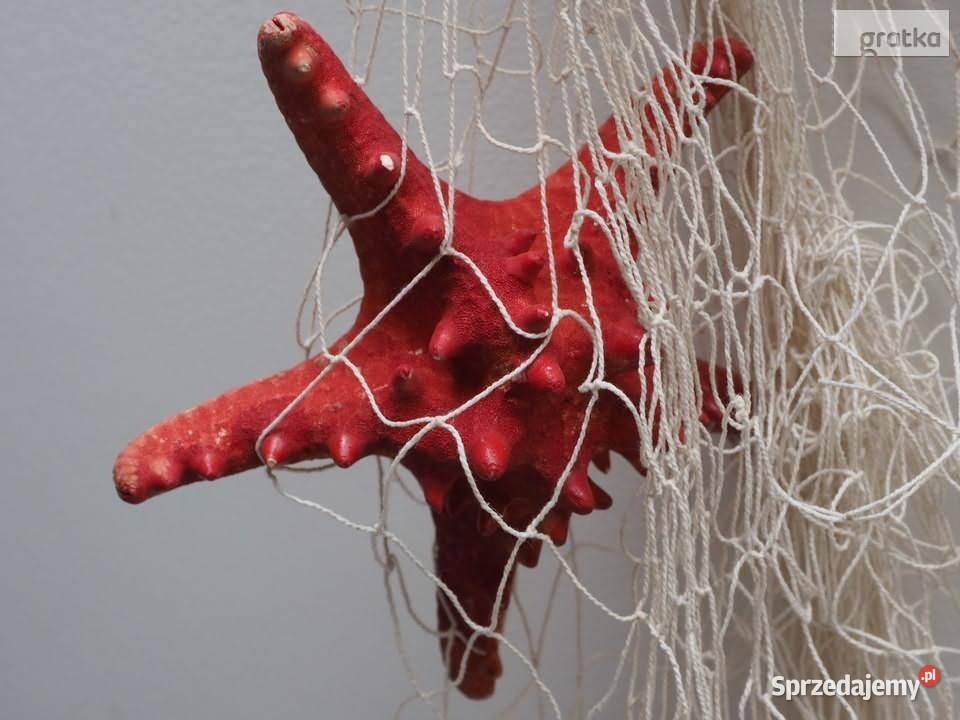 Sieć rybacka Dekoracyjna siatka marynistyczna mazowieckie Warszawa