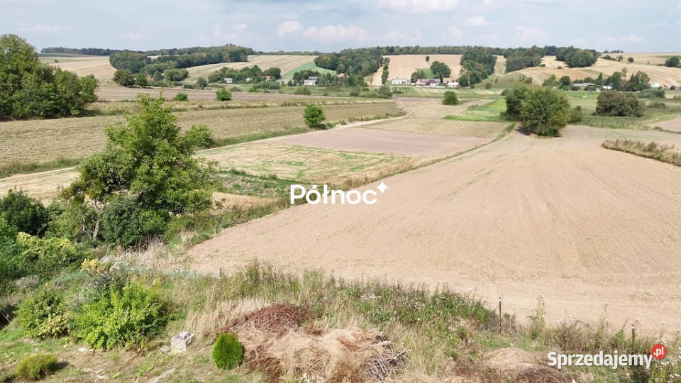 Przytulny dom wśród zieleni Zwiartów Sprzedaż