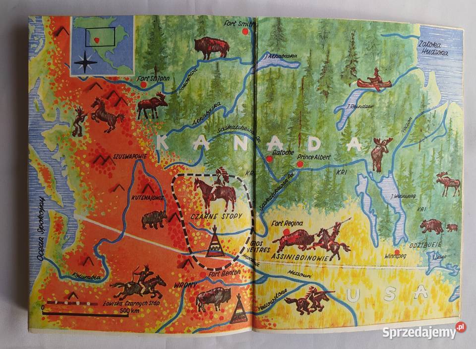 MAŁY BIZON Arkady Fiedler podlaskie Hajnówka