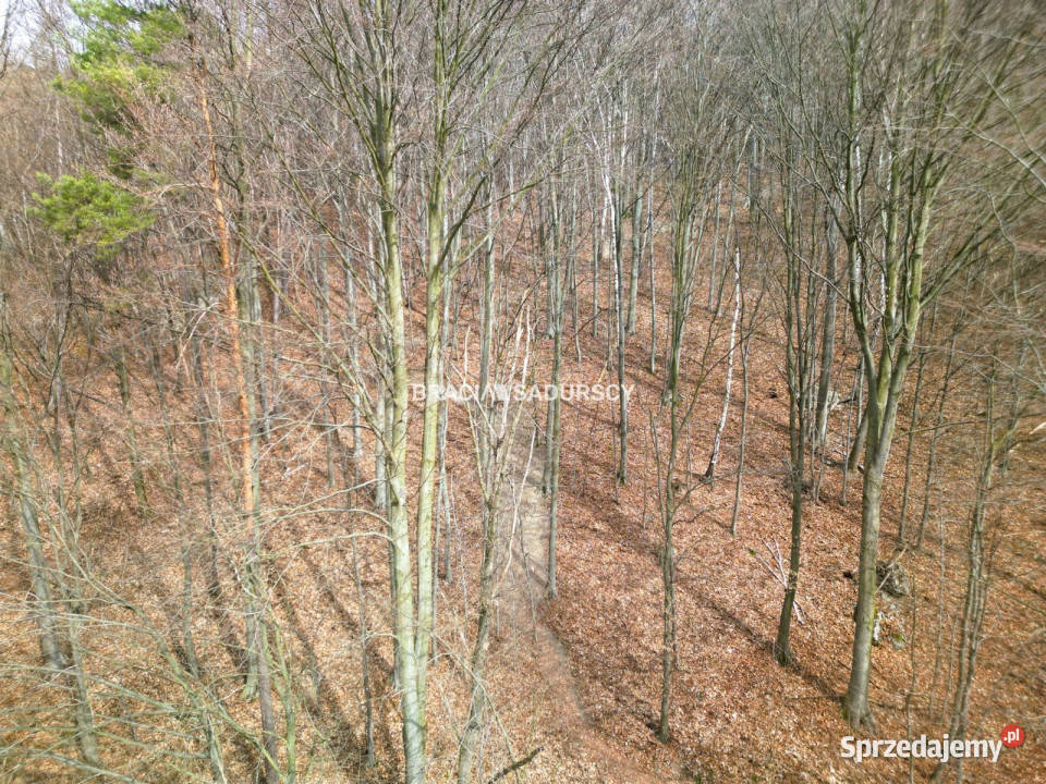 Działkę sprzedam Jerzmanowice Zachodnia 700m2