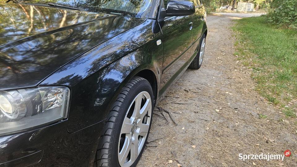Audi A3 8P 19tdi automat